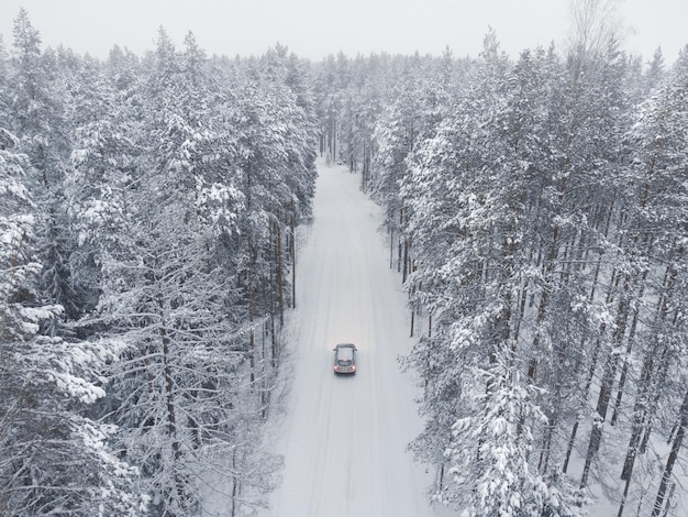 Um carro em uma bela floresta branca de neve de inverno Tópico de transporte motorizado e mobilidade