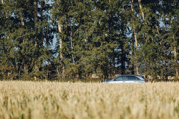 Um carro meio vazio visível fica no contexto de árvores verdes de verão e um campo pgenichny.