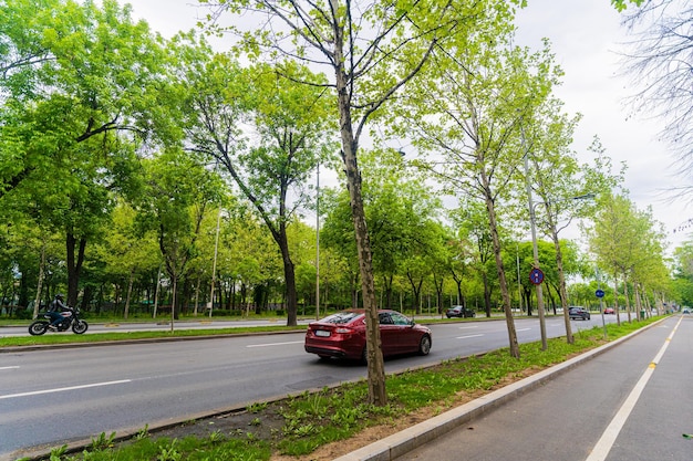 um carro vermelho está dirigindo pela rua em um parque