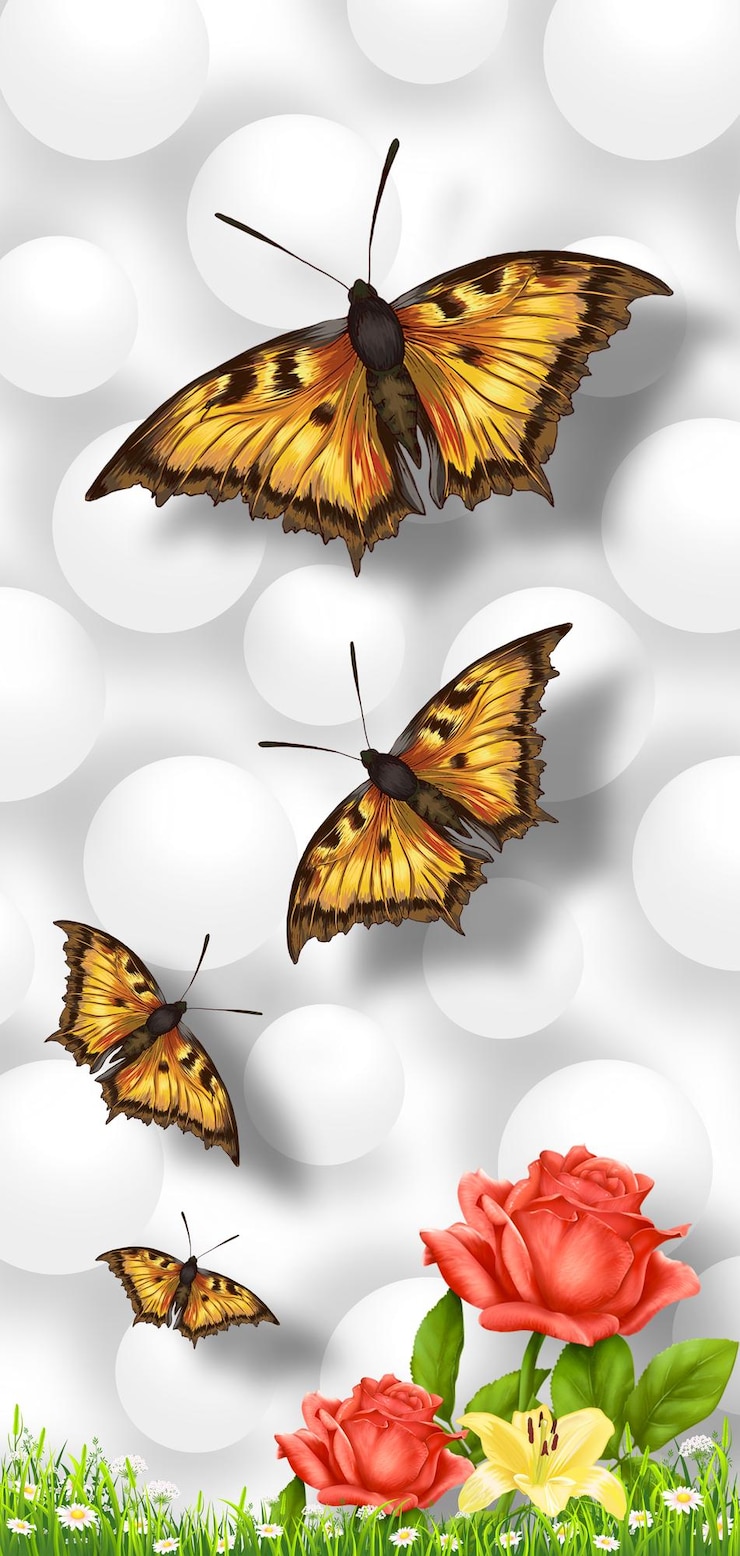 Foto um cartaz para o filme "butterflies".