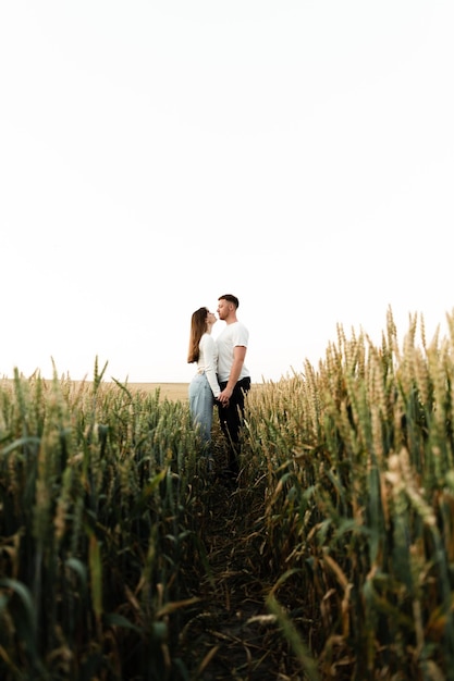 Um casal apaixonado fica entre um campo de trigo e de mãos dadas. um cara e uma garota estão andando na natureza. férias fora da cidade