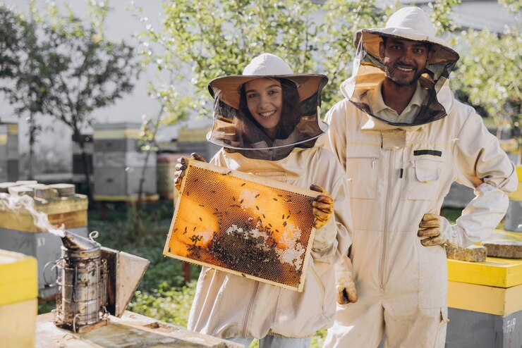 Um casal de apicultores sorridente feliz trabalhando com ferramentas de apicultura perto de uma colmeia em uma fazenda de abelhas