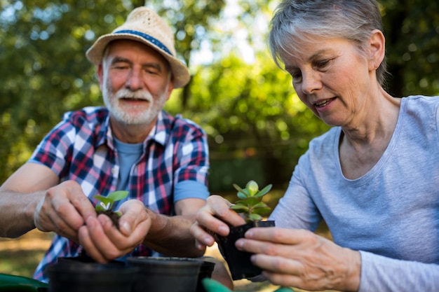 Um casal de idosos a jardinar no jardim.