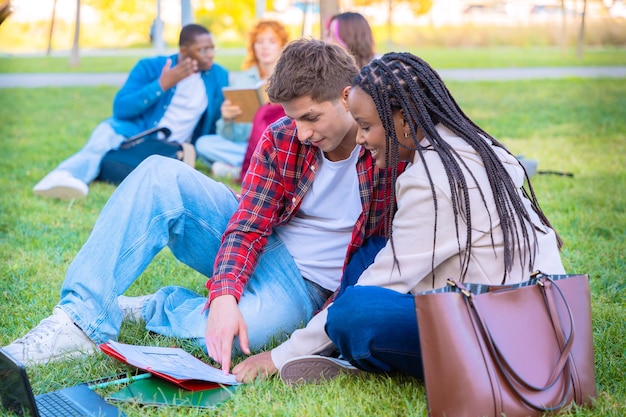 Um casal jovem usando um caderno juntos sentado na grama ao ar livre