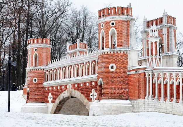 Foto um castelo na neve