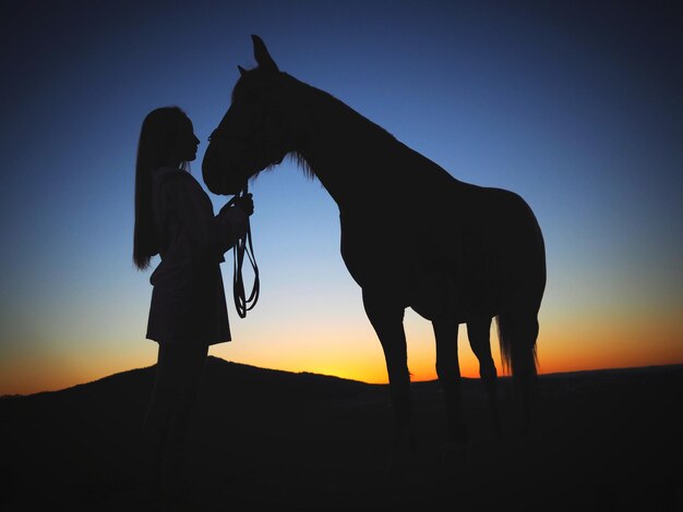 Um cavalo em silhueta de pé no campo contra o céu durante o pôr do sol