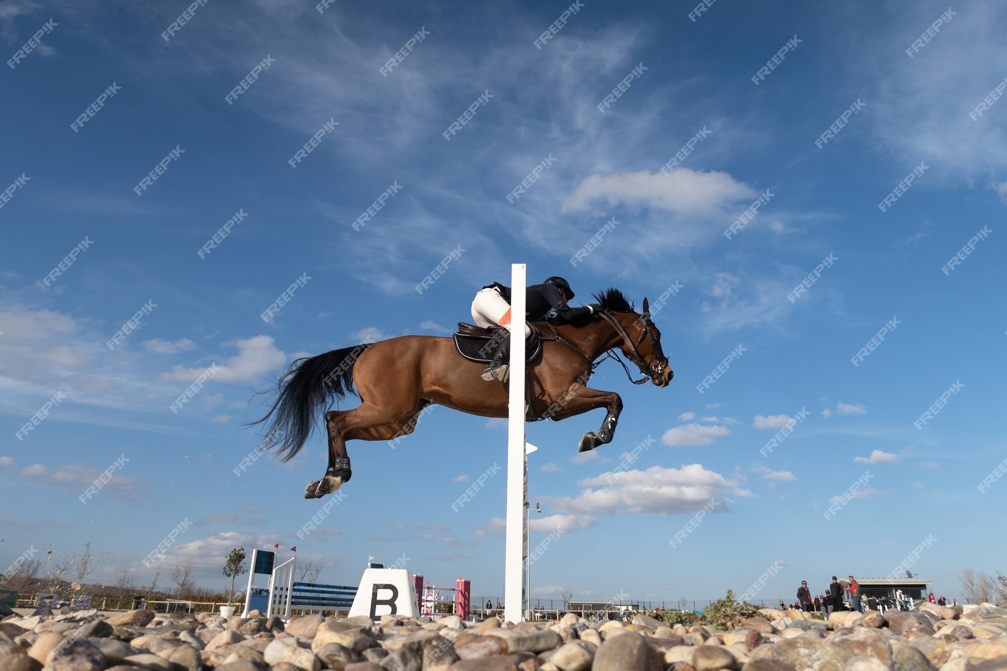 Foto de Cavalo Pulando Uma Cerca e mais fotos de stock de Cross-country  equestre - Cross-country equestre, Cavalo - Família do cavalo, Cavalgar -  iStock