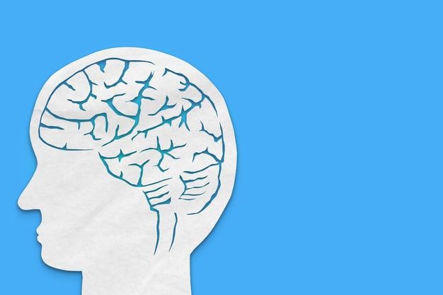 Um cérebro é cortado de papel e colocado sobre um fundo azul conceito da importância do cérebro