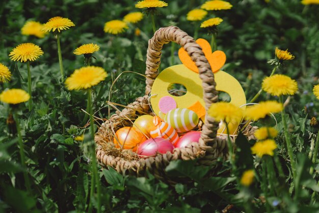 Foto um cesto de ovos de páscoa coloridos à procura de ovos