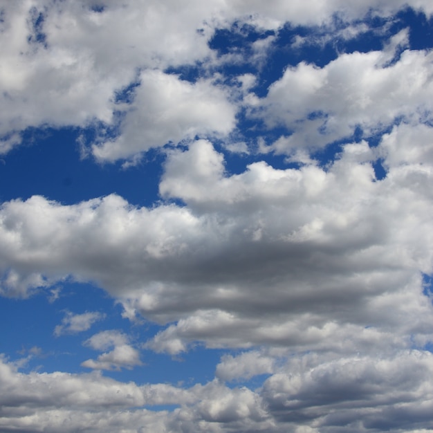 Foto um céu azul com muitas nuvens brancas de tamanhos diferentes