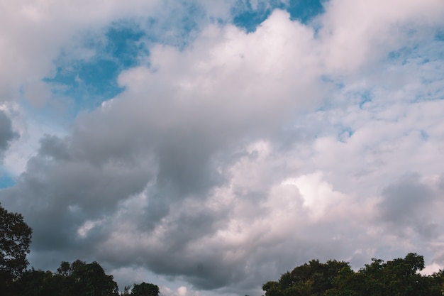 Foto um céu azul com nuvens e árvores verdes de fundo