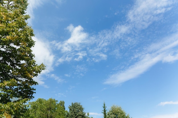 Um céu azul com nuvens