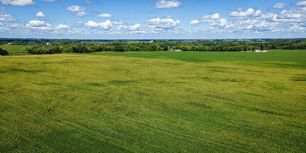 Foto um céu azul nublado no horizonte com um campo agrícola abaixo cercado por uma área rural em wisconsin