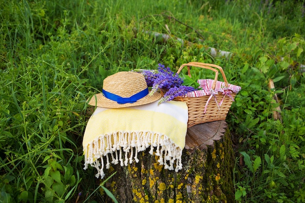 Um chapéu, uma manta e um buquê de tremoços em uma cesta estão em um tronco na floresta