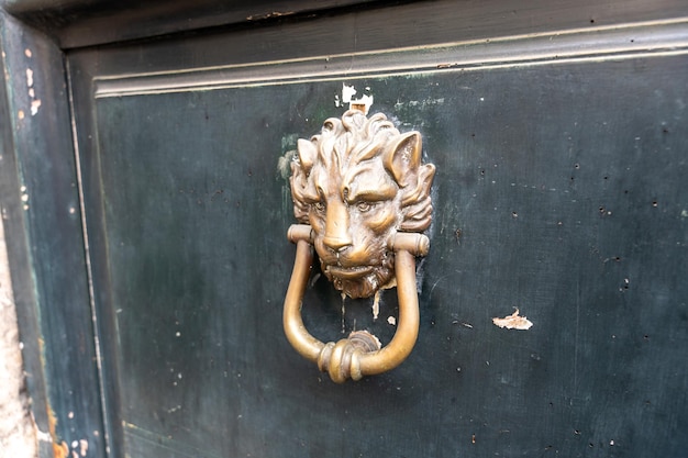 Um chaveiro de cabeça de leão está pendurado numa porta.