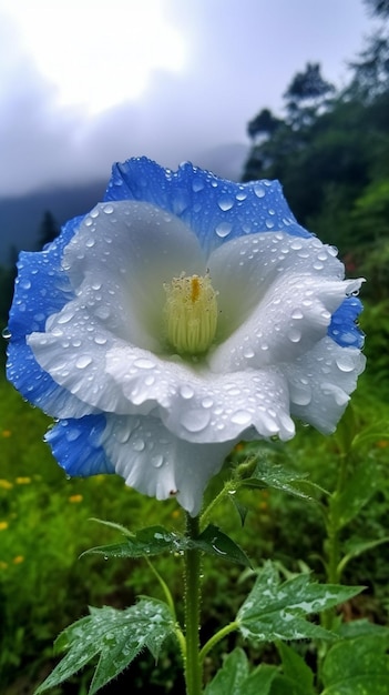 um close de uma flor com gotas de água generativa ai