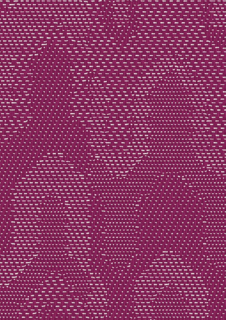 Foto um close de uma rosa branca