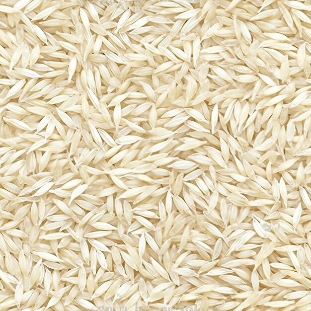 um close-up de arroz com um fundo branco