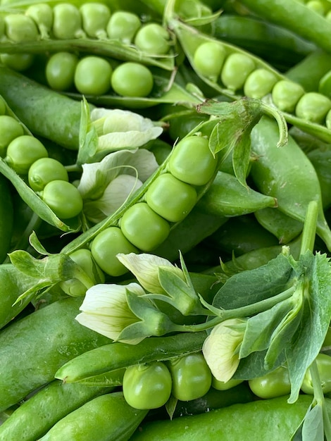 um close-up de ervilhas verdes