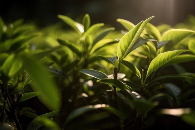 Um close-up de um arbusto com folhas verdes generative AI