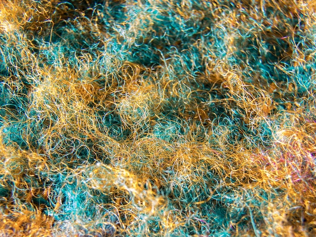 Um close-up de uma alga azul com a palavra mar nele