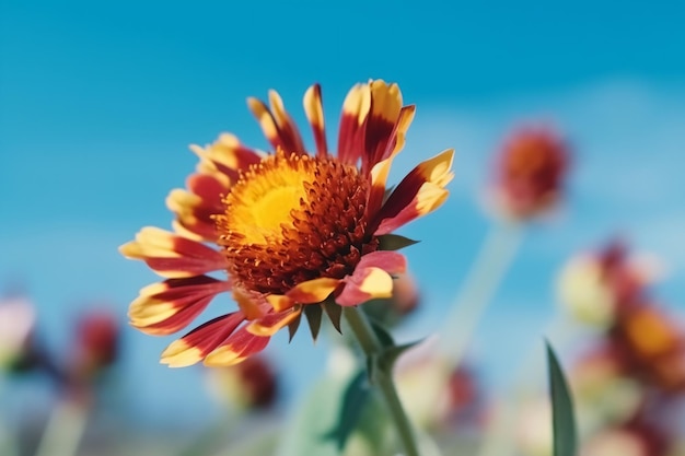 Um close-up de uma flor