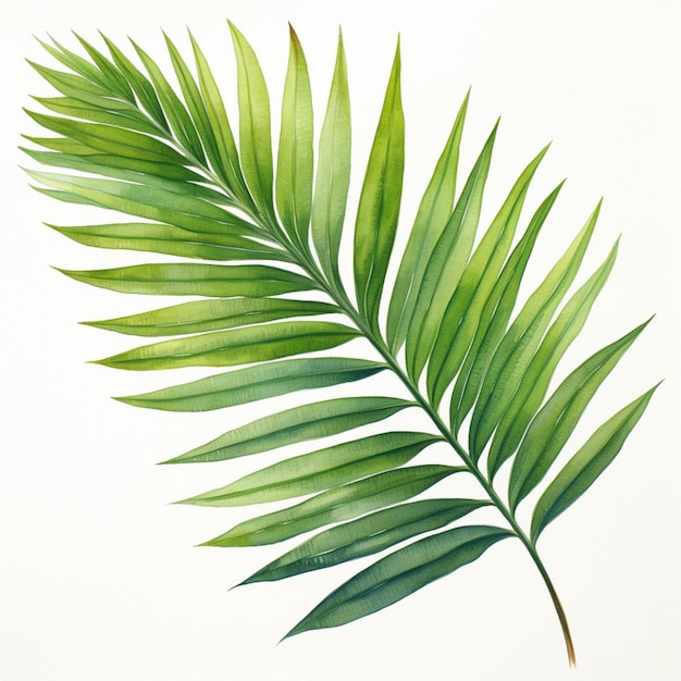 Foto um close-up de uma folha verde em um fundo branco generativo ai