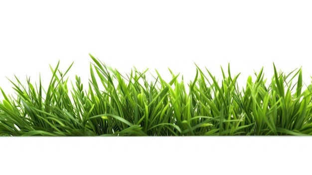 Um close-up de uma grama verde com a palavra grama nela