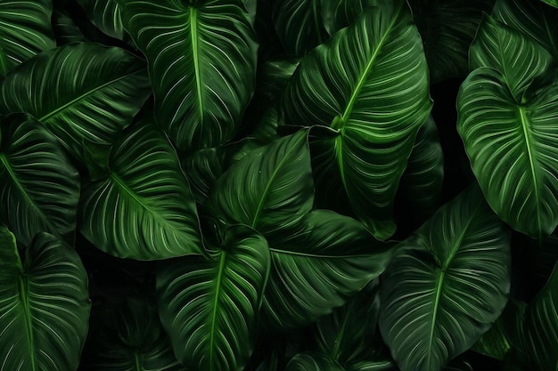 Foto um close-up de uma planta com folhas verdes