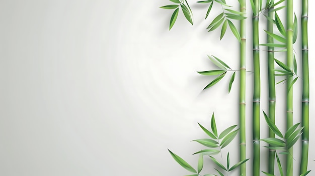 Foto um close-up de uma planta com folhas verdes