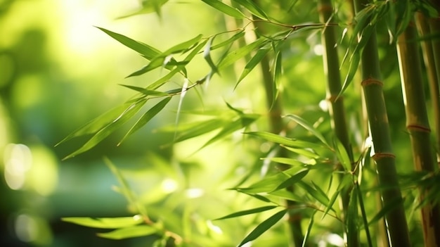Um close-up de uma planta de bambu com folhas verdes