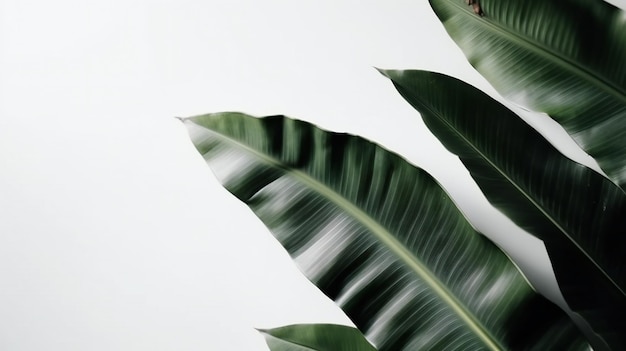 Um close-up de uma planta tropical com folhas verdes