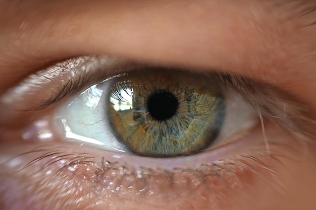 Um close-up do olho de uma pessoa