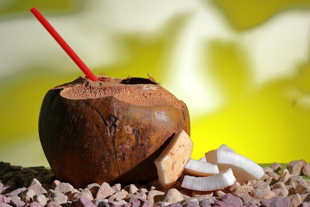 Um coco com um canudo e alguns pedaços de coco