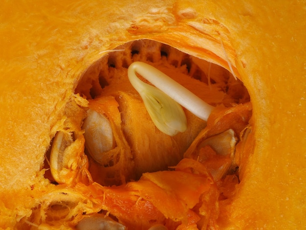 Foto um cogumelo branco está dentro de uma abóbora com sementes dentro.