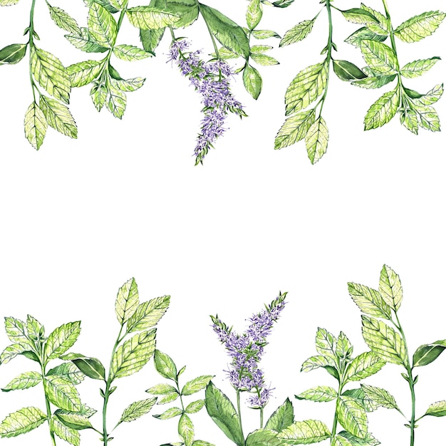 Um conjunto de aquarela no esboço menta brilhante com folhas e flores Conjunto de chá para design de cartões postais