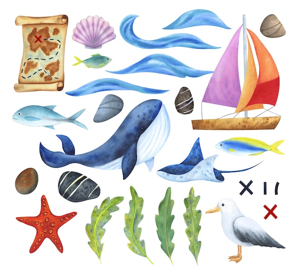 Um conjunto de elementos sobre o tema marinho animais plantas pedras barco ondas
