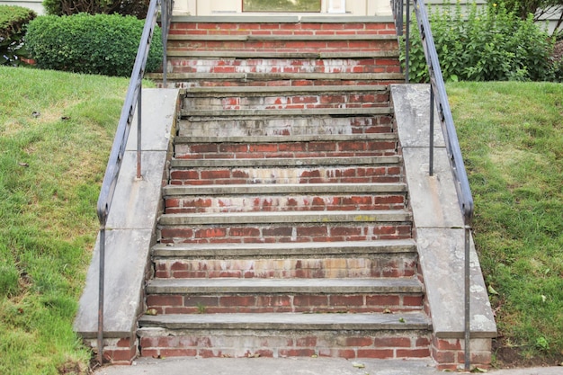 Um conjunto de escadas com uma árvore verde no topo.