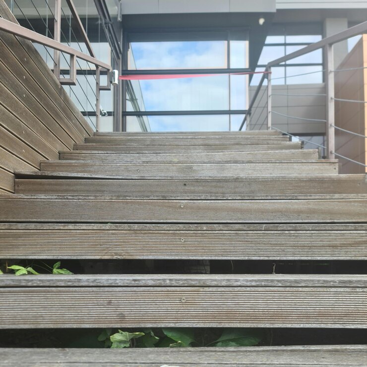 Foto um conjunto de escadas com uma planta crescendo nela
