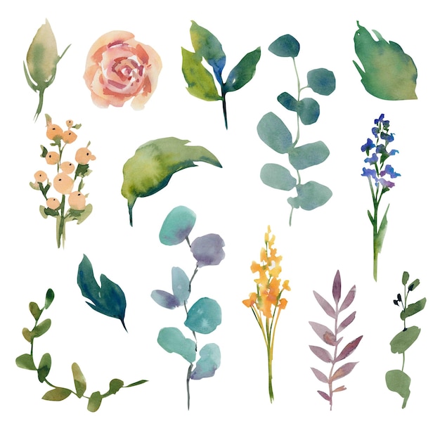 Um conjunto de flores artesanais em um fundo isolado Folhas de broto de eucalipto de rosas Ilustração de casamento