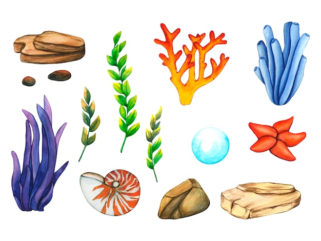 Foto um conjunto de objetos de desenho animado conchas, corais, algas, pedras, estrelas do mar e algas marinhas violetas azuis ilustração desenhada à mão em aquarela para decoração e design de impressão infantil