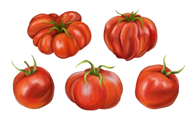 Um conjunto de tomates carnudos maduros vermelhos