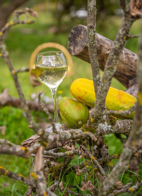 Um copo de vinho no fundo da natureza