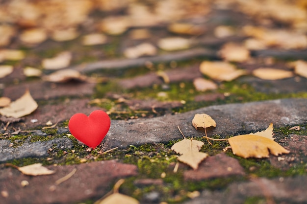 Um coração no caminho do outono. amor não correspondido e unilateral ou conceito de solidão.