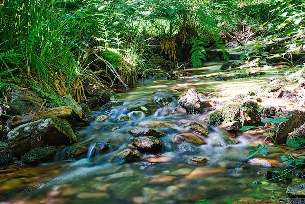 Um córrego da floresta capturado com uma longa exposição