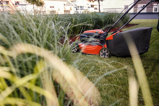 Um cortador de grama está cuidando de um gramado em um local público