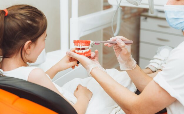 Um dentista masculino em um uniforme médico mostra a uma garotinha como escovar adequadamente os dentes em um modelo de mandíbula conceito de odontologia