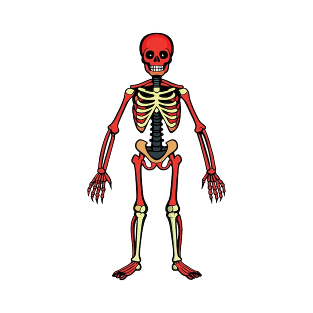 um desenho de um esqueleto com um esqueleto nele