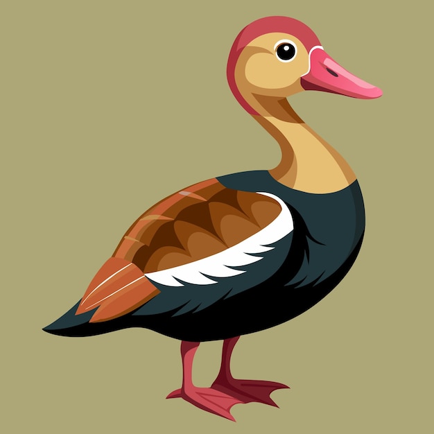 um desenho de um pato com um bico castanho e penas brancas