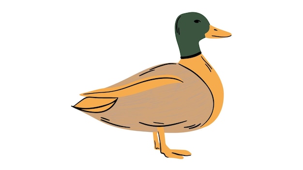 um desenho de um pato com um fundo marrom